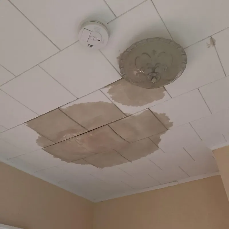 Ceiling Water Damage Repair in Sanbornton, NH