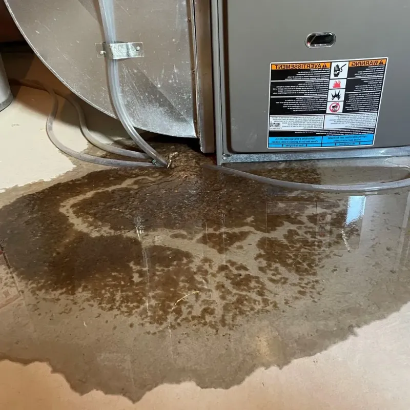 Pipe Burst and Leak Restoration in Sanbornton, NH